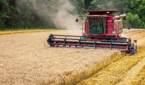 ultima ora materiile prime pentru industria alimentara ca graul pentru panificatie rosii si castraveti pentru procesare ar urma sa ramana cu tva redusa 6888c74ccbb57