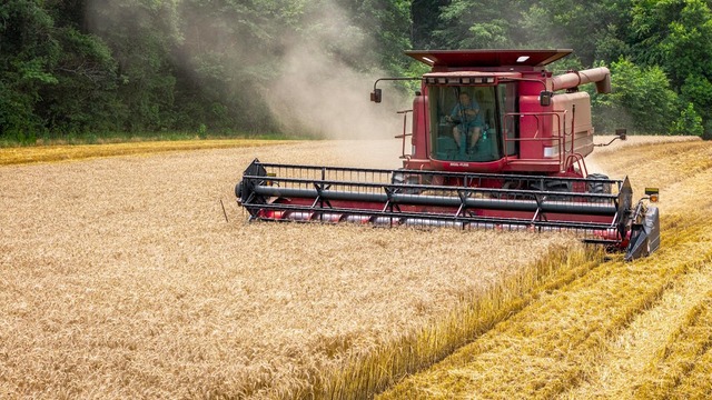 ultima ora materiile prime pentru industria alimentara ca graul pentru panificatie rosii si castraveti pentru procesare ar urma sa ramana cu tva redusa 6888c74ccbb57