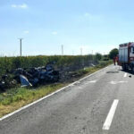 video accident mortal in teleorman o masina si o duba s au ciocnit violent dupa impact un autoturism a luat foc 686f80e18dba3