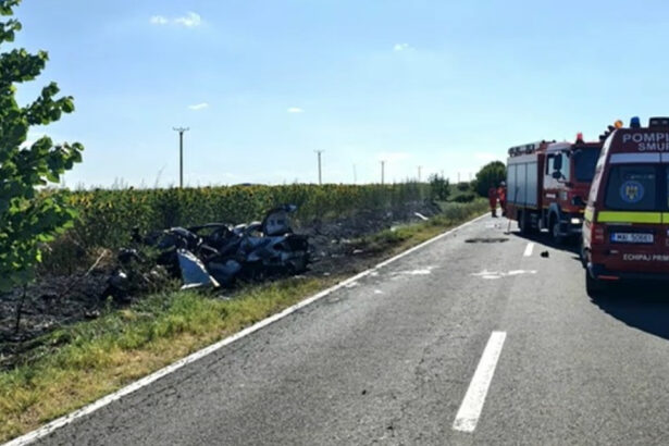 video accident mortal in teleorman o masina si o duba s au ciocnit violent dupa impact un autoturism a luat foc 686f80e18dba3