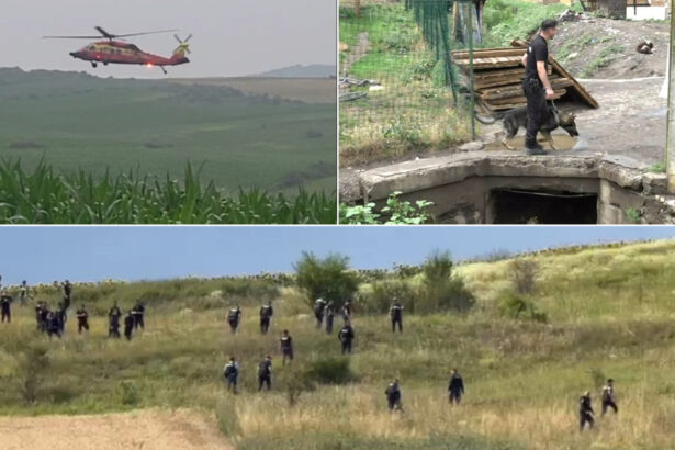 video alerta nationala emil ganj cautat de 11 zile cu elicoptere drone si caini peste 80 de apeluri la 112 i au semnalat prezenta 687a13e7366bb