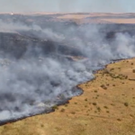 video alerta primarul comunei gradina dupa izbucnirea unui incendiu in rezervatia naturala cheile dobrogei focul e posibil sa se extinda spre sat nu este de gluma 6873f9125d968