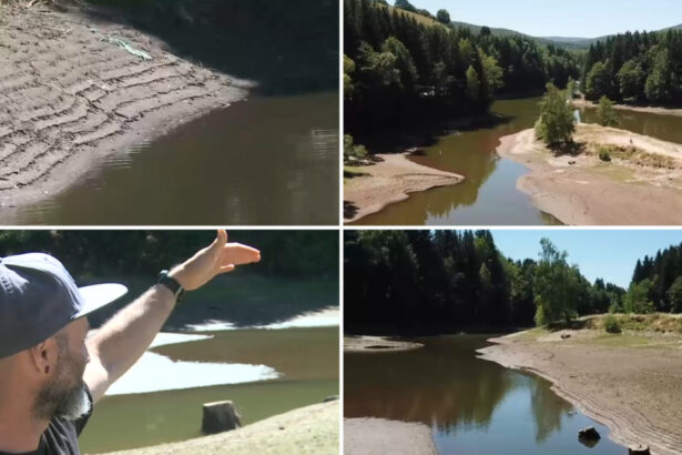 video ar trebui sa fim sub apa aici imagini dezolante cu lacul trei ape care seaca dramatic de la un an la altul 686a37385bac8