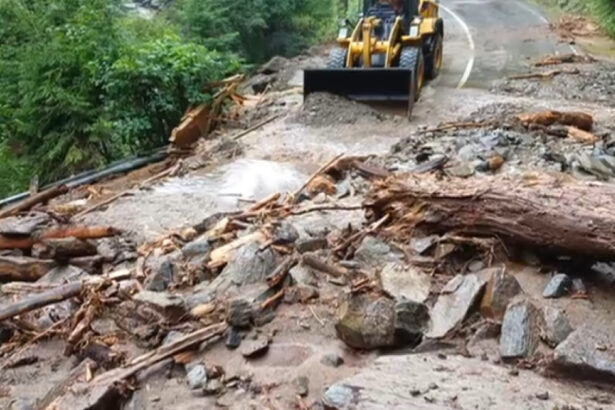 video blocaj pe transfagarasan in urma unei viituri soseaua s a umplut cu bucati de copaci si pietre 6876774b1ecd4
