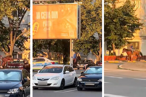 video cascadorii rasului un barbat calare urmarit de politisti printre blocuri 68753ffc35063