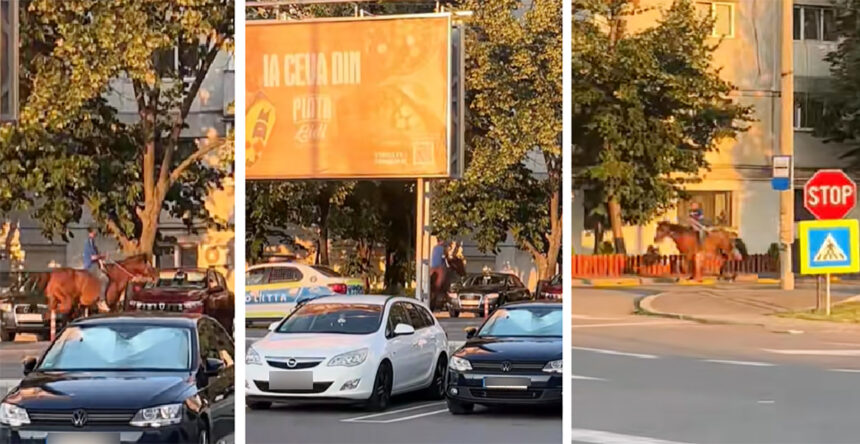 Cascadorii râsului: Un bărbat călare, urmărit de polițiști printre blocuri 1 video cascadorii rasului un barbat calare urmarit de politisti printre blocuri 68753ffc35063