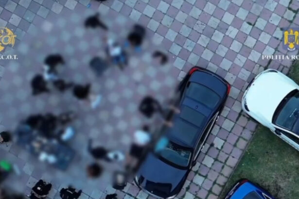 video descinderi de amploare la clanurile pian si purcel acuzatii de trafic de persoane proxenetism si spalare de bani 6889bf3e5a2c9