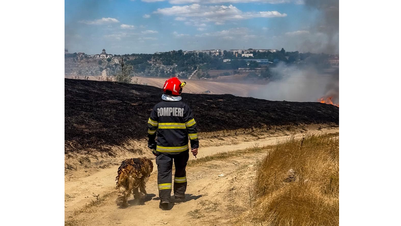 Imaginea care a emoționat Tulcea: Cățel salvat din flăcări, surprins împreună cu salvatorul său 1 video imaginea care a emotionat tulcea catel salvat din flacari surprins alaturi de salvatorul sau 6866c302d898c