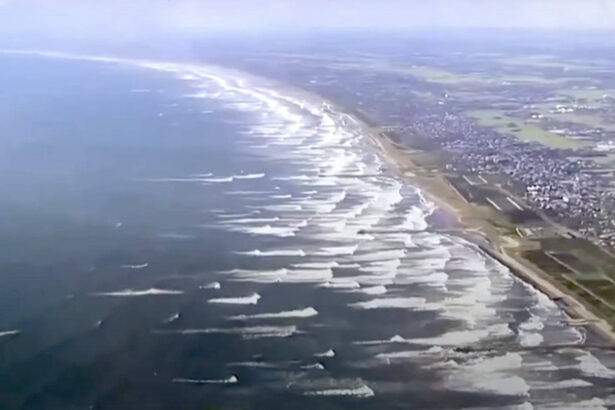 video imagini impresionante in japonia balene esuate pe tarmul din tateyama dupa cutremurul puternic din kamceatka urmat de un tsunami 6889fb0282893