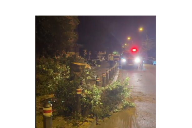 video mai multi copaci au cazut pe carosabil in constanta si mangalia dupa vijelia puternica din aceasta seara 686ec82a83b41