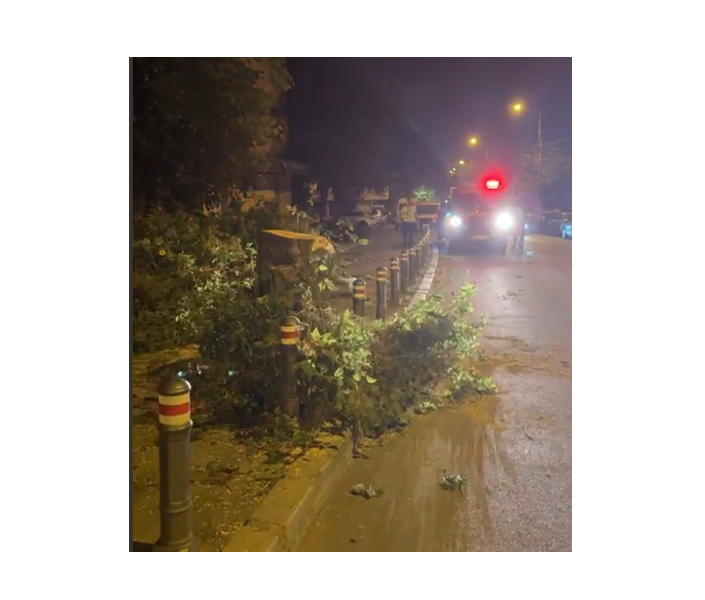 video mai multi copaci au cazut pe carosabil in constanta si mangalia dupa vijelia puternica din aceasta seara 686ec82a83b41