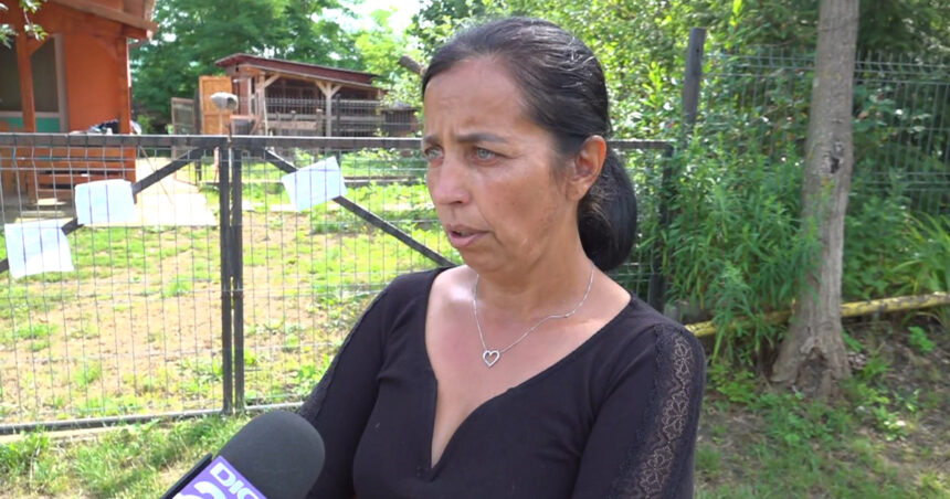Mama tinerei ucise în Mureș acuză poliția că „nu și-a făcut treaba” și susține că fiica ei a fost forțată să retragă ordinul de protecție. 1 video mama tinerei ucise in mures acuza politia ca nu si a facut treaba spune ca fiica ei a fost fortata sa retraga ordinul de protectie 6878faa7693c6