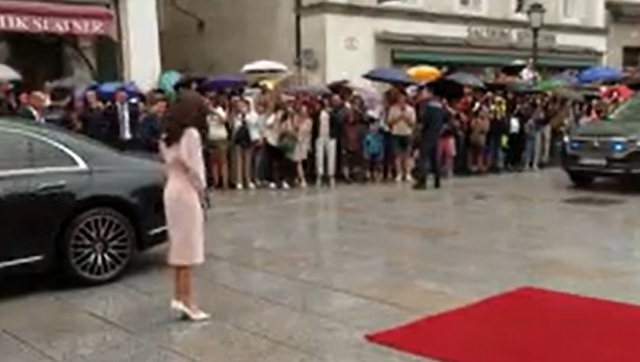 video nicusor dan alaturi de partenera si cei doi copii primit la salzburg de presedintele austriei 688392e0d3edd