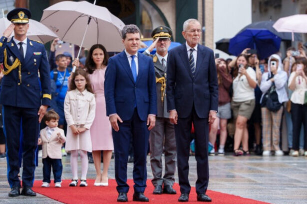 video nicusor dan dupa vizita oficiala in austria o noua etapa a parteneriatului economic si diplomatic ce subiecte au fost discutate 68863df0b4126