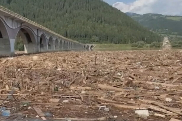 video pericol la barajul bicaz tone de lemne au fost aduse de viitura si au acoperit lacul ce spun autoritatile despre situatie 688b3af1944f6