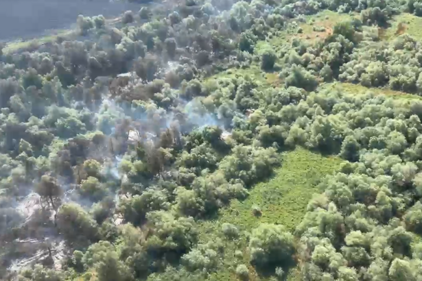 video pompierii continua lupta cu focul in zona chilia veche focarele nu au fost stinse inca 686b7c64533fc