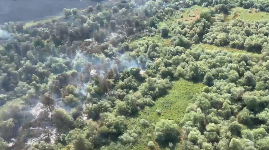video pompierii continua lupta cu focul in zona chilia veche focarele nu au fost stinse inca 686b7c64533fc