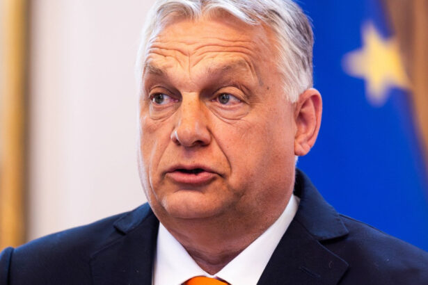 video premierul ungariei viktor orban a ajuns la palatul victoria unde are o intalnire informala cu ilie bolojan 68812d7c1d770