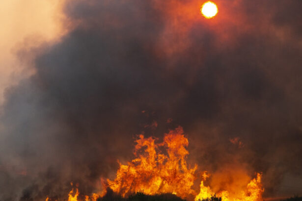 video romania trimite un elicopter black hawk in bulgaria sunt peste 100 de incendii de vegetatie in tara vecina 6887235009fe2