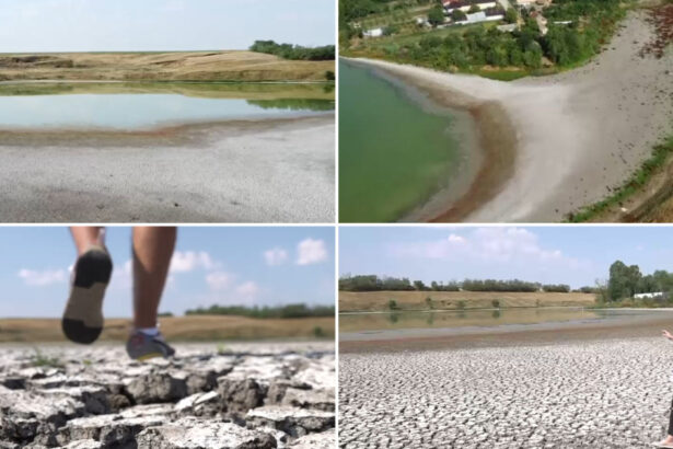 video seceta goleste lacurile din sudul romaniei cum arata astazi un lac de peste 40 de hectare din olt s a ales praful 688456cc0b106