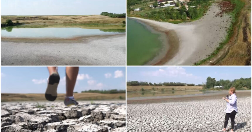 Seceta golește lacurile din sudul României. Cum arată astăzi un lac de peste 40 de hectare din Olt: „S-a ales praful” 1 video seceta goleste lacurile din sudul romaniei cum arata astazi un lac de peste 40 de hectare din olt s a ales praful 688456cc0b106