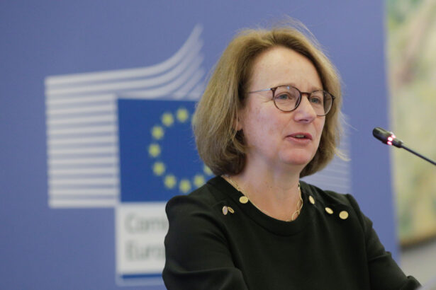 video sefa pnrr vizita la bucuresti romania va trimite la bruxelles planul national de redresare si rezilienta revizuit 6874b1c84581c