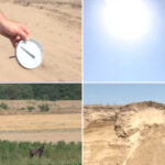 video situatie critica in sahara olteniei unde nu a mai plouat de trei luni cum arata viata de agricultor in camp la peste 40 celsius 6881d158dfde3