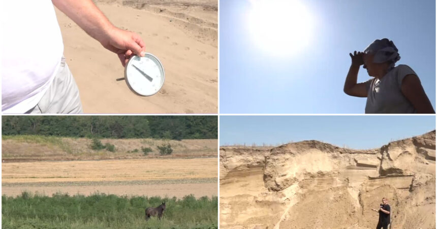 Situație critică în „Sahara Olteniei”, unde nu a mai plouat de trei luni. Cum arată viața de agricultor în câmp, la peste 40° Celsius. 1 video situatie critica in sahara olteniei unde nu a mai plouat de trei luni cum arata viata de agricultor in camp la peste 40 celsius 6881d158dfde3