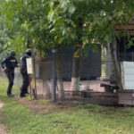 video suspectul crimei din mures cautat in judetul arad sunt perchezitii si la mai multe adrese din mures 68737cb3e1f96