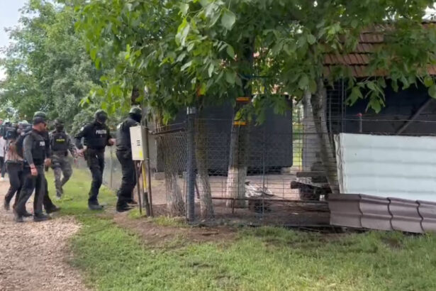 video suspectul crimei din mures cautat in judetul arad sunt perchezitii si la mai multe adrese din mures 68737cb3e1f96
