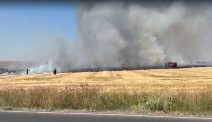 Val de incendii de vegetație uscată în județul Constanța 1 video val de incendii de vegetatie uscata in judetul constanta 6867bff7b3a36