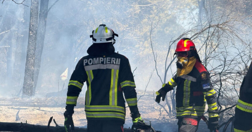 Pompierii români trimiși în Franța acționează cu toate mijloacele tehnice pentru stingerea unui incendiu 1 videofoto pompierii romani trimisi in franta actioneaza cu toate mijloacele tehnice pentru stingerea unui incendiu 686fdc7abc16c