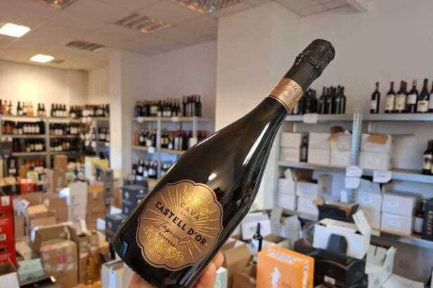 vinul zilei o cava cu bule fine si persistente arome proaspete de citrice si fructe albe completate de nuante subtile de migdale si briose ideala pentru toasturi festive fructe de mare sau branzet 6877415b15bf6