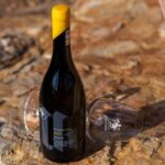vinul zilei un chardonnay romanesc intr un stil mai serios si ambitios cu note de fruct copt exotic de caise si piersici alaturi de tarta cu vanilie nuci prajite si patiserie cu unt 686f58398468b
