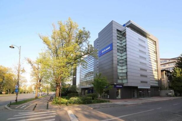 vista bank cumpara alpha leasing romania tranzactie finalizata 687a5bd2d9916
