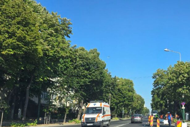 accident pe bulevardul aurel vlaicu din constanta un autoturism a intrat intr un stalp echipajele de urgenta intervin la fata locului 689ccd0c3b196