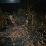Alertă în comuna Lipnița! Incendiu de vegetație uscată între Ferma 10 și Crama Lipnița 2 alerta in comuna lipnita un incendiu de vegetatie uscata a izbucnit intre ferma 10 si crama lipnita 689902c2a6c02