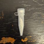 alerta in vama veche jandarmii au depistat un barbat care consuma substante interzise intr un local 68ad599ad3bf5