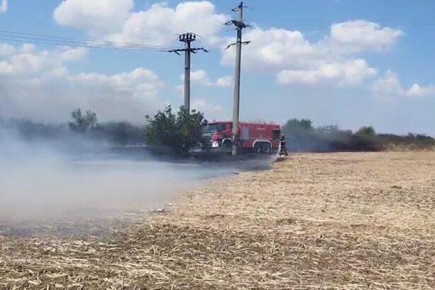 alerta pe autostrada a2 pe sensul spre constanta a luat foc vegetatia de pe marginea drumului 68a5f9734f7f9