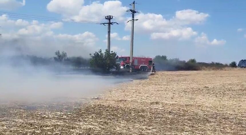 Alertă pe Autostrada A2 spre Constanța! Vegetația de pe marginea drumului a luat foc 1 alerta pe autostrada a2 pe sensul spre constanta a luat foc vegetatia de pe marginea drumului 68a5f9734f7f9