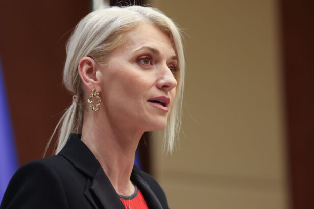 alina gorghiu guvernul sprijina legea care majoreaza pedepsele agresorilor violenti incalcarea ordinelor nu ramane fara consecinte 68a4d1f15d623