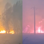 aproape 25 de hectare de stuf liziera si vegetatie uscata incendiate in delta dunarii 68a95a476fa96
