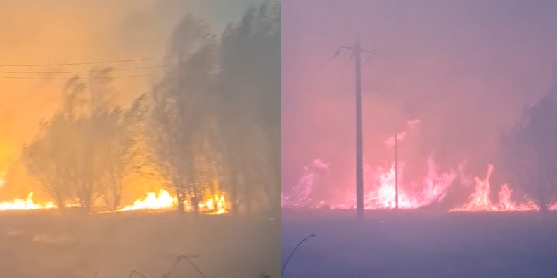 Aproape 25 de hectare de stuf, lizieră și vegetație uscată distruse de incendiu în Delta Dunării 1 aproape 25 de hectare de stuf liziera si vegetatie uscata incendiate in delta dunarii 68a95a476fa96