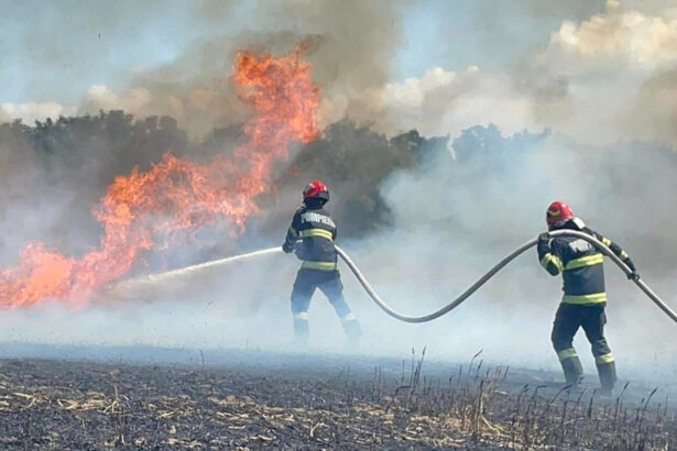 arde vegetatia uscata din garliciu pompierii intervin pentru stingerea lui chiar in aceste momente 6899f54c3fd66