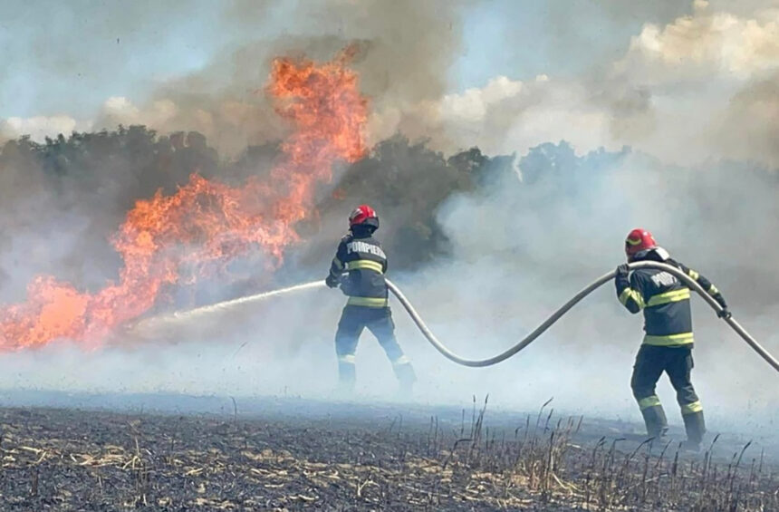 Intervenție a pompierilor pentru stingerea arderii vegetației uscate din Gârliciu, în acest moment 1 arde vegetatia uscata din garliciu pompierii intervin pentru stingerea lui chiar in aceste momente 6899f54c3fd66
