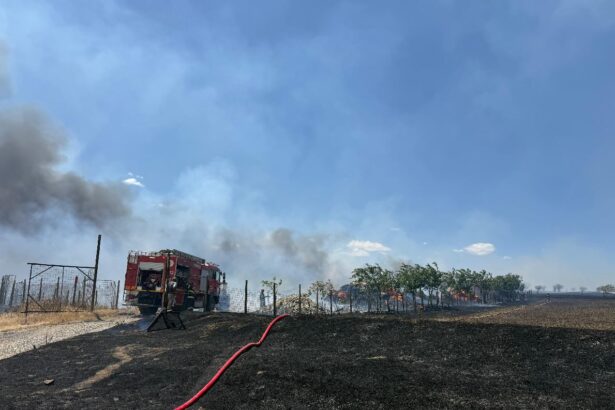 arde vegetatia uscata la iesirea din nazarcea spre ovidiu pompierii intervin cu trei autospeciale 68b1b3dd6d143