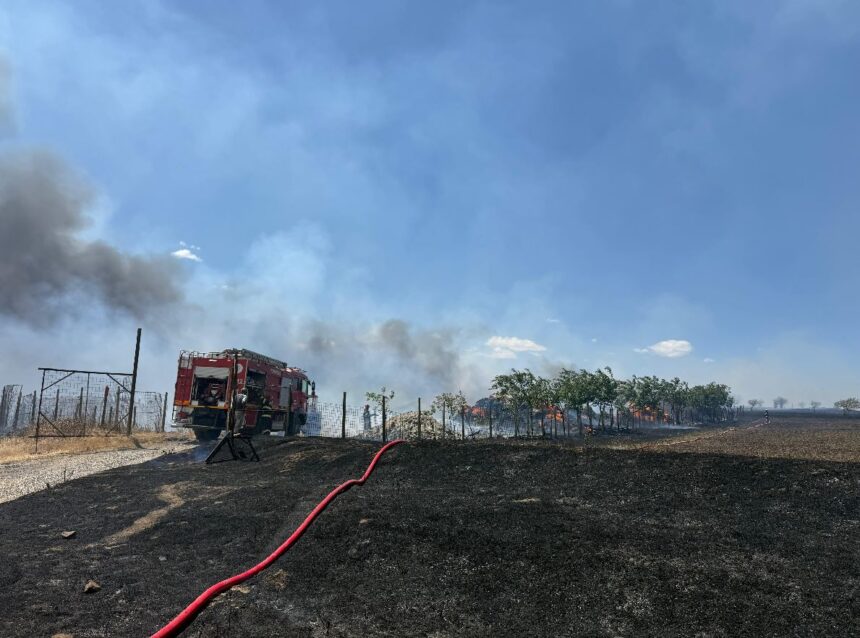 Incendiu de vegetație uscată la ieșirea din Nazarcea spre Ovidiu: intervenție a pompierilor cu trei autospeciale! 1 arde vegetatia uscata la iesirea din nazarcea spre ovidiu pompierii intervin cu trei autospeciale 68b1b3dd6d143