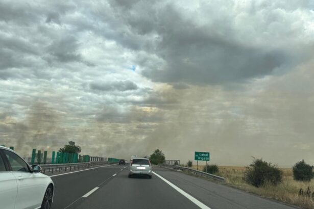 autostrada a2 blocata un incendiu de vegetatie a oprit circulatia pe ambele benzi ale sensului de mers catre bucuresti 689468faa47e6
