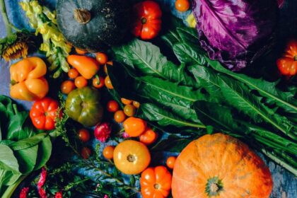 caracterul unic al alimentatiei in acceptiunea crestin ortodoxa 68a246b582bad