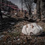 Condițiile lui Putin pentru a opri războiul în Ucraina. Ce „concesii” ar fi dispus să facă liderul rus 3 care sunt conditiile lui putin pentru a inceta razboiul in ucraina ce concesii ar fi dispus sa faca liderul rus 68a7fe3ca0077